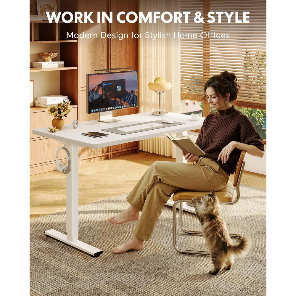 FLEXISPOT EN1 Scrivania Regola - Desk Setup One Monitor recensione e prezzo