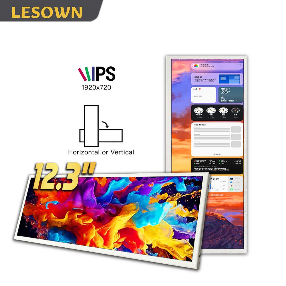Monitor Portatile LESOWN da 12 - Desk Setup One Monitor recensione e prezzo